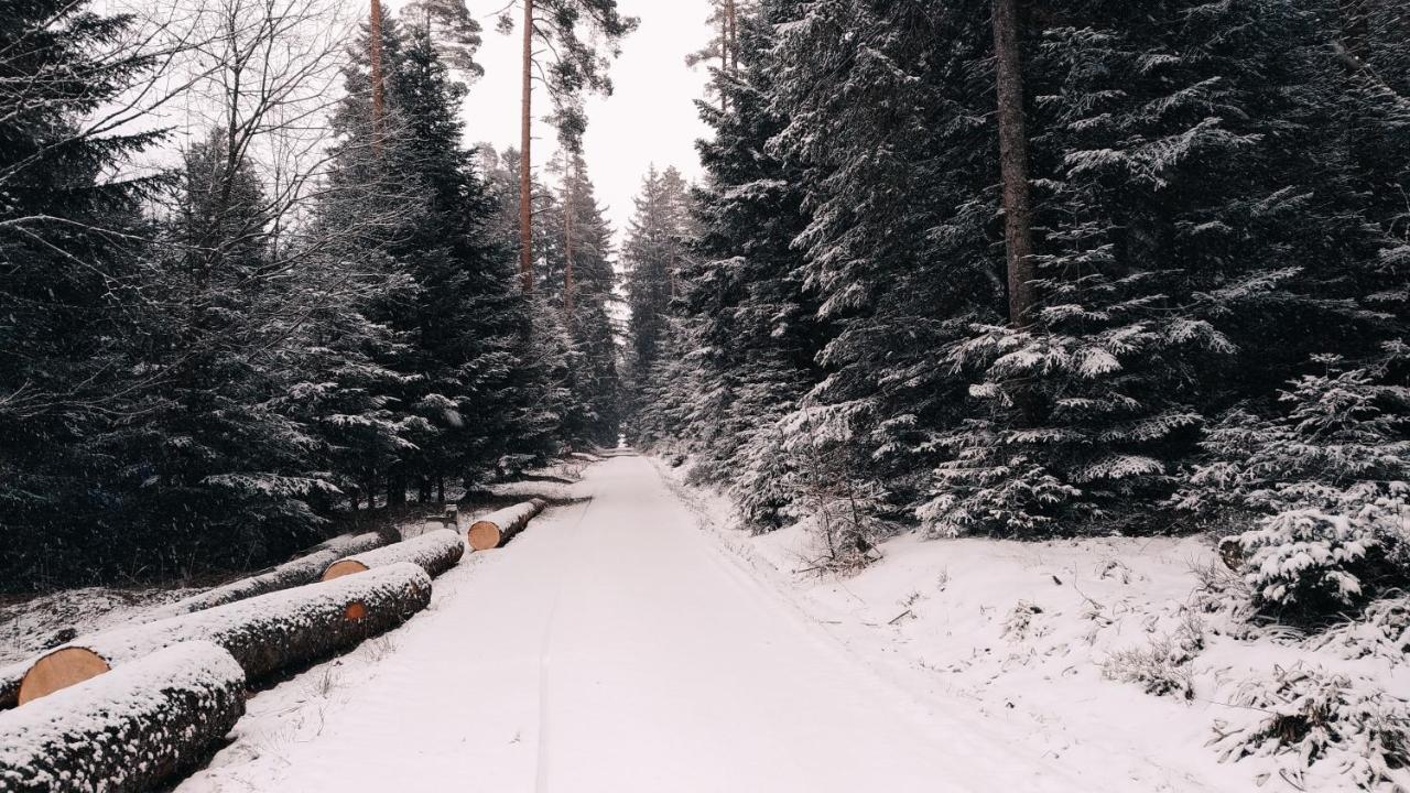 Wanderlust Panorama - Leben Im Nationalpark Apartment Фройденщат Екстериор снимка